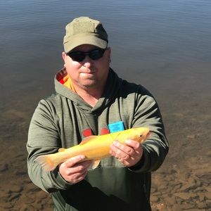 Meet your Posher, Jay